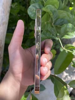 iPhone 13 Pro factory 128gb