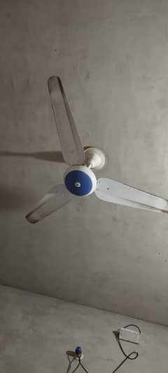 fan celling
