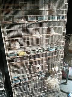 cage