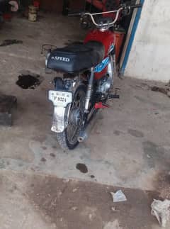 kohat