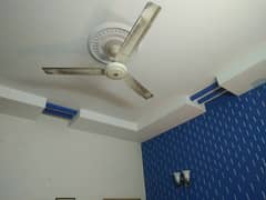 5 Marla Lower Portion For Rent 1 Bed, 2 Bath R1 Block Johar Town Near Emporium Mall