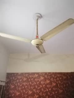 Ceiling