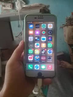 8plus