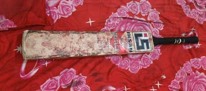 cricket bat