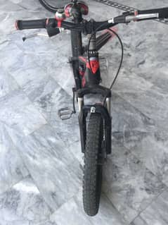 plus company cycle