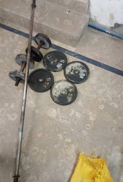 gym