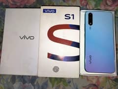vivo