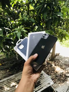 iPhone 11 with box (urgent)