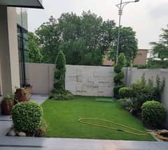 Want To Buy A House In Lahore