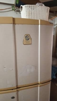 PEL FRIDGE BIG ONE FOR SALE