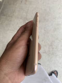 iPhone 8 PTA approved 64 GB