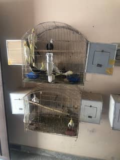 Cages,