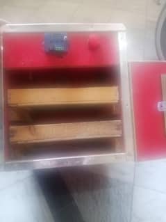 Incubator