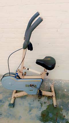exirsiz cycle
