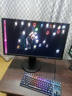 Eizo EV 2316 23.5 inch 1080p Monitor (60 hertz)