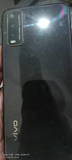 vivo