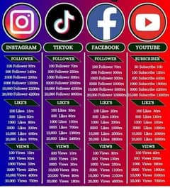 TikTok service