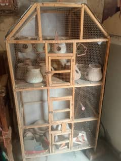 cage for birds