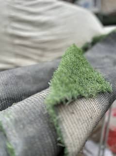 Green grass