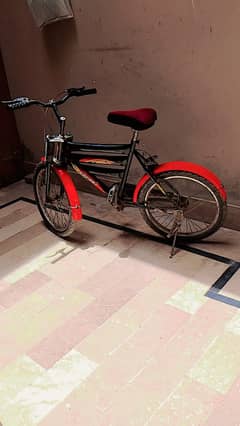 safari the best cycle