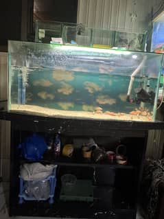 Top sump 3 feet tank with table