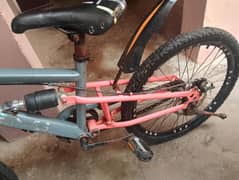 mountain bicycle