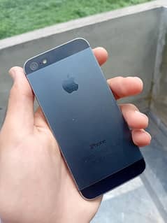 iphone 5