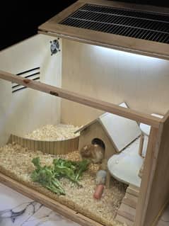 Hamster cage House