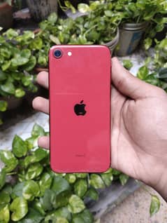 Iphone SE 128GB PTA approved