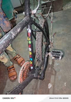phoenix cycle for sale