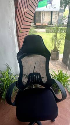 Fully imported executive office chair in wholesale price