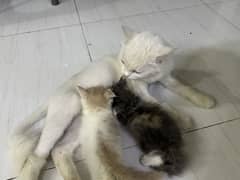 Mom