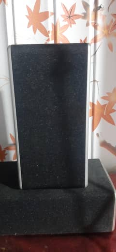 Vizio