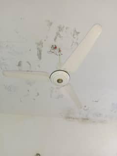 gfc fan 3month use