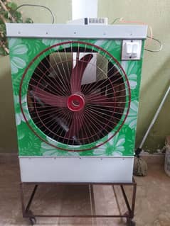 condition 10/10 with stand