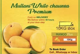 Multani White Chaunsa|Premium Quality Mango 