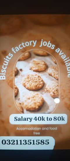 biscuits packing job