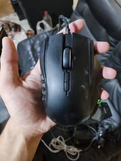 razer