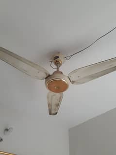 Ac/dc fan for sell