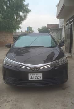 Carolla x li available sale