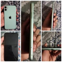 Iphone 11 in see green colour