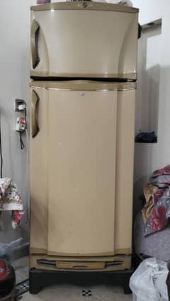PEL
