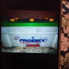 phoenix battery xp  210