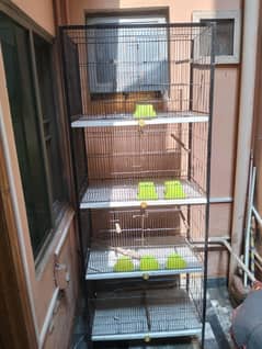 cage (1.5x2.5) 4 portion
