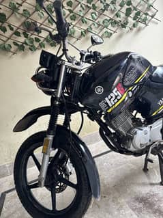 YBR