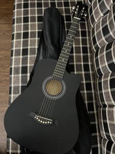 Acoustic Guitar Professional