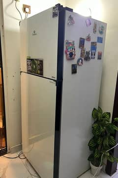 12 months used Dawlance fridge