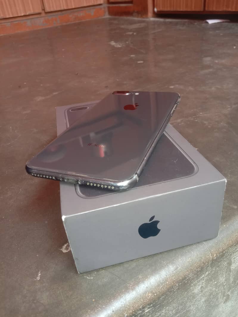 iPhone 8 Plus 0