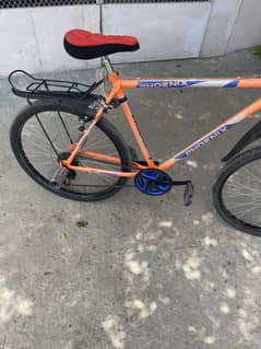 Phoenix cycle  10 by 10 condition all okay all new parts