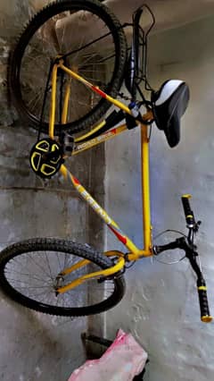 Cycle